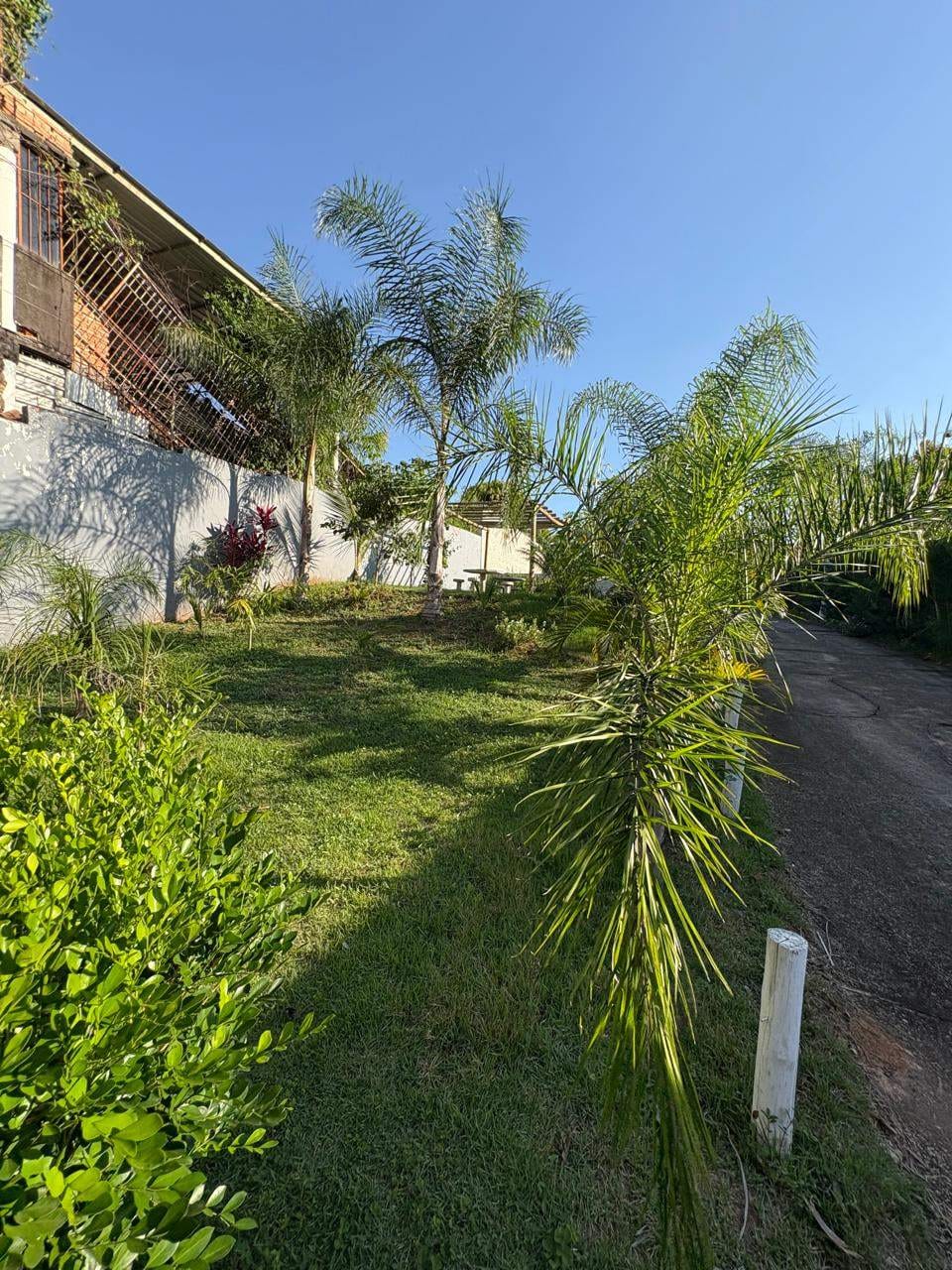 Sítio, 1 quarto, 625 m² - Foto 19