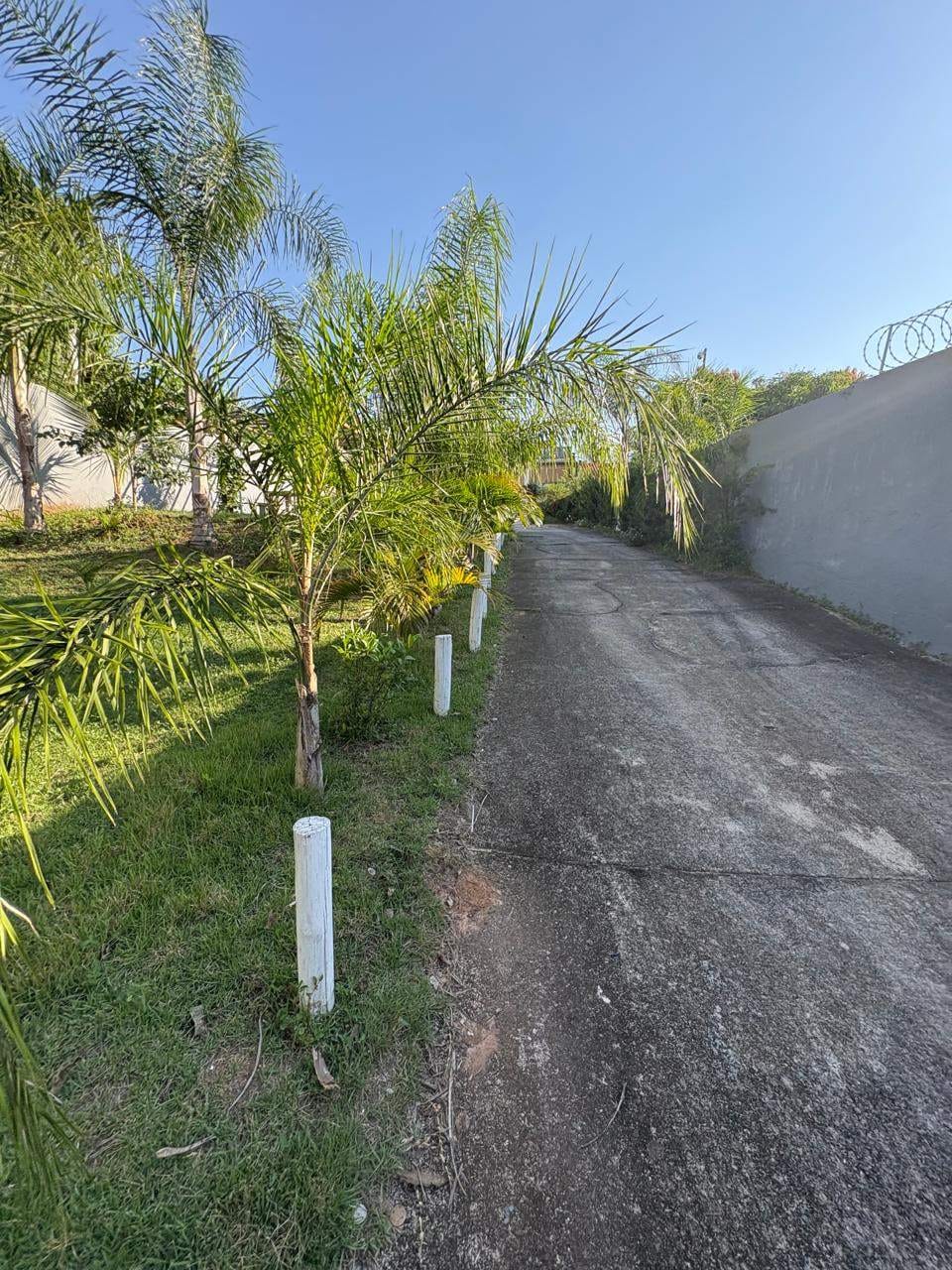 Sítio, 1 quarto, 625 m² - Foto 2