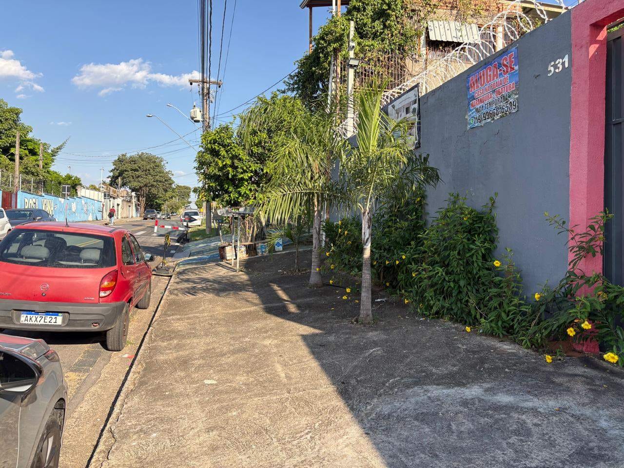 Sítio, 1 quarto, 625 m² - Foto 20