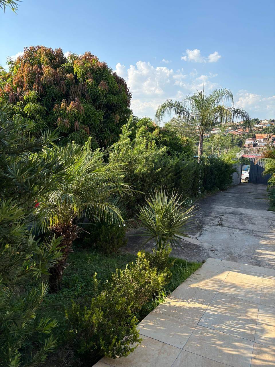 Sítio, 1 quarto, 625 m² - Foto 9