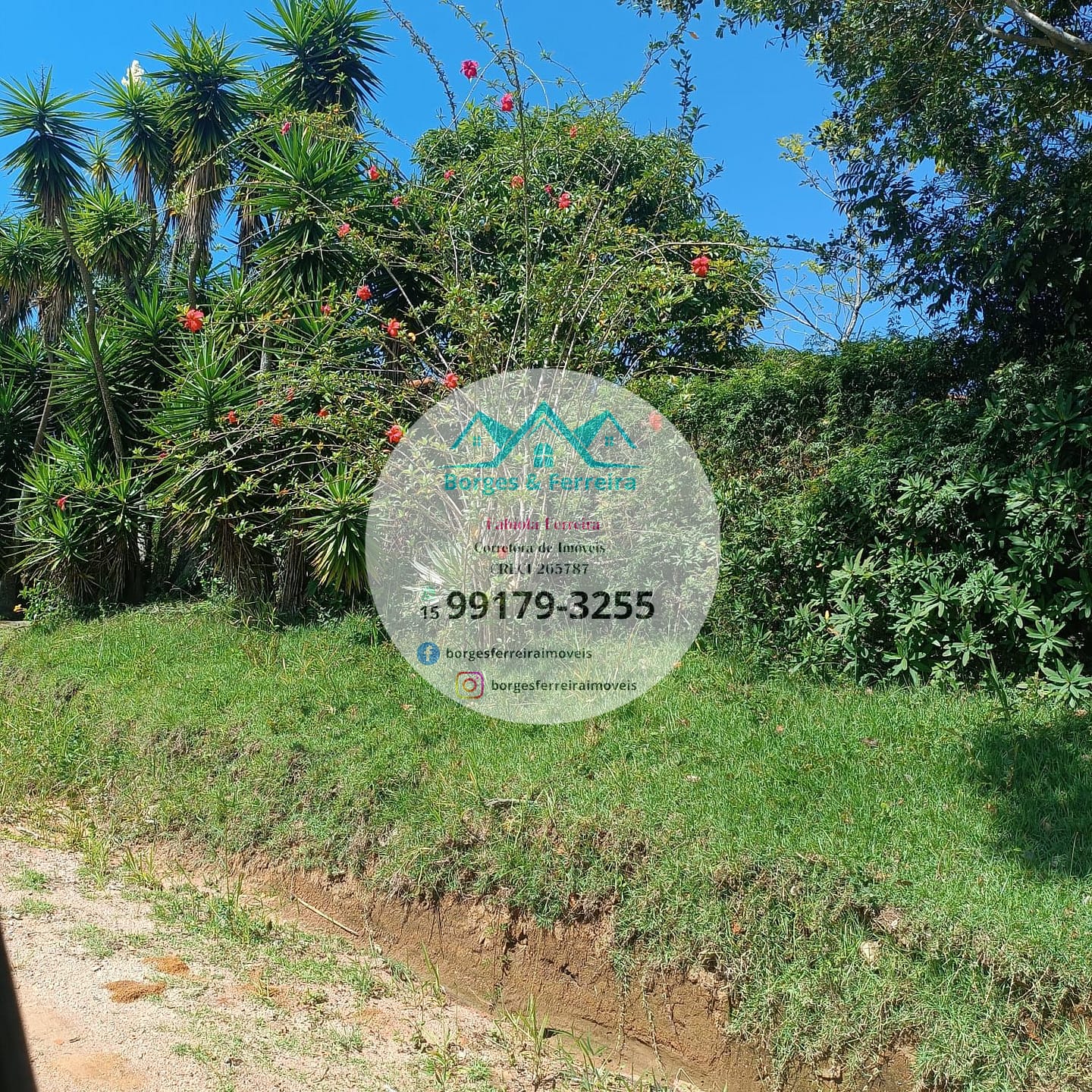 Chácara à venda com 3 quartos, 1500m² - Foto 44