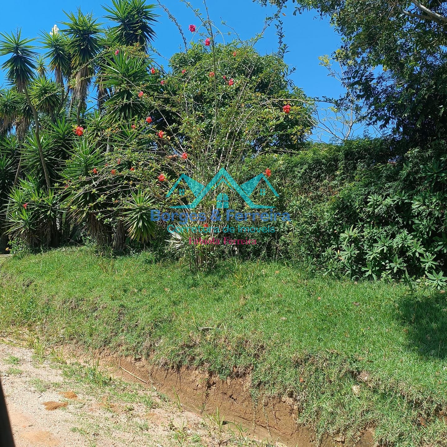 Chácara, 3 quartos, 1500 m² - Foto 44