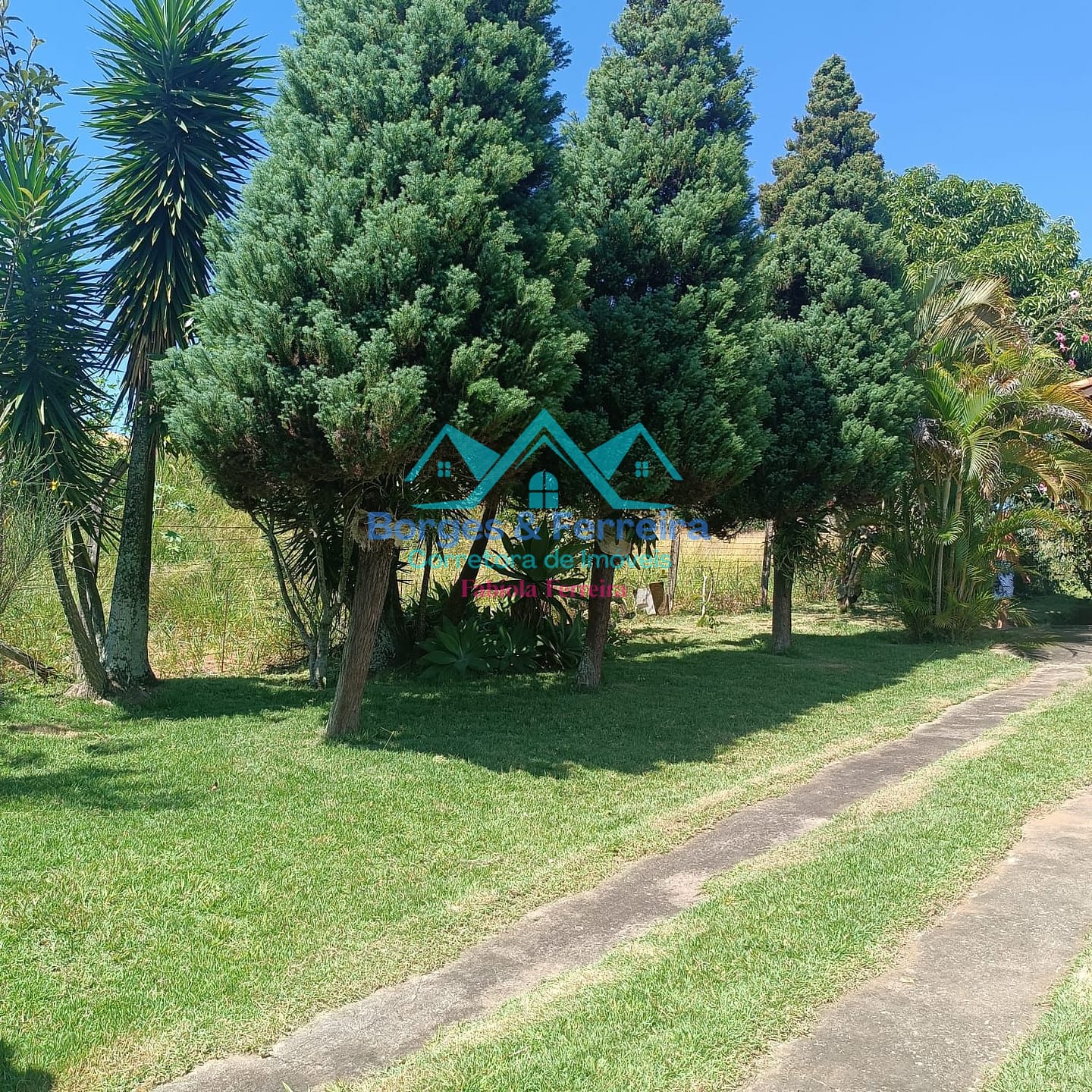 Chácara, 3 quartos, 1500 m² - Foto 4