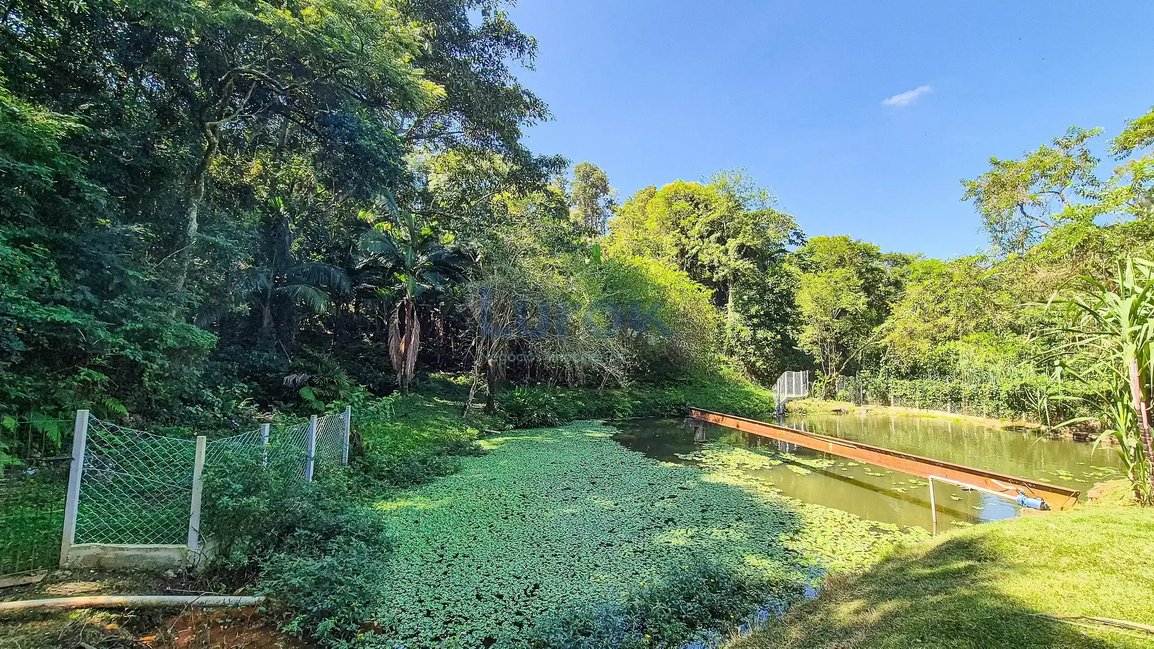 Chácara, 4 quartos, 1150 m² - Foto 41