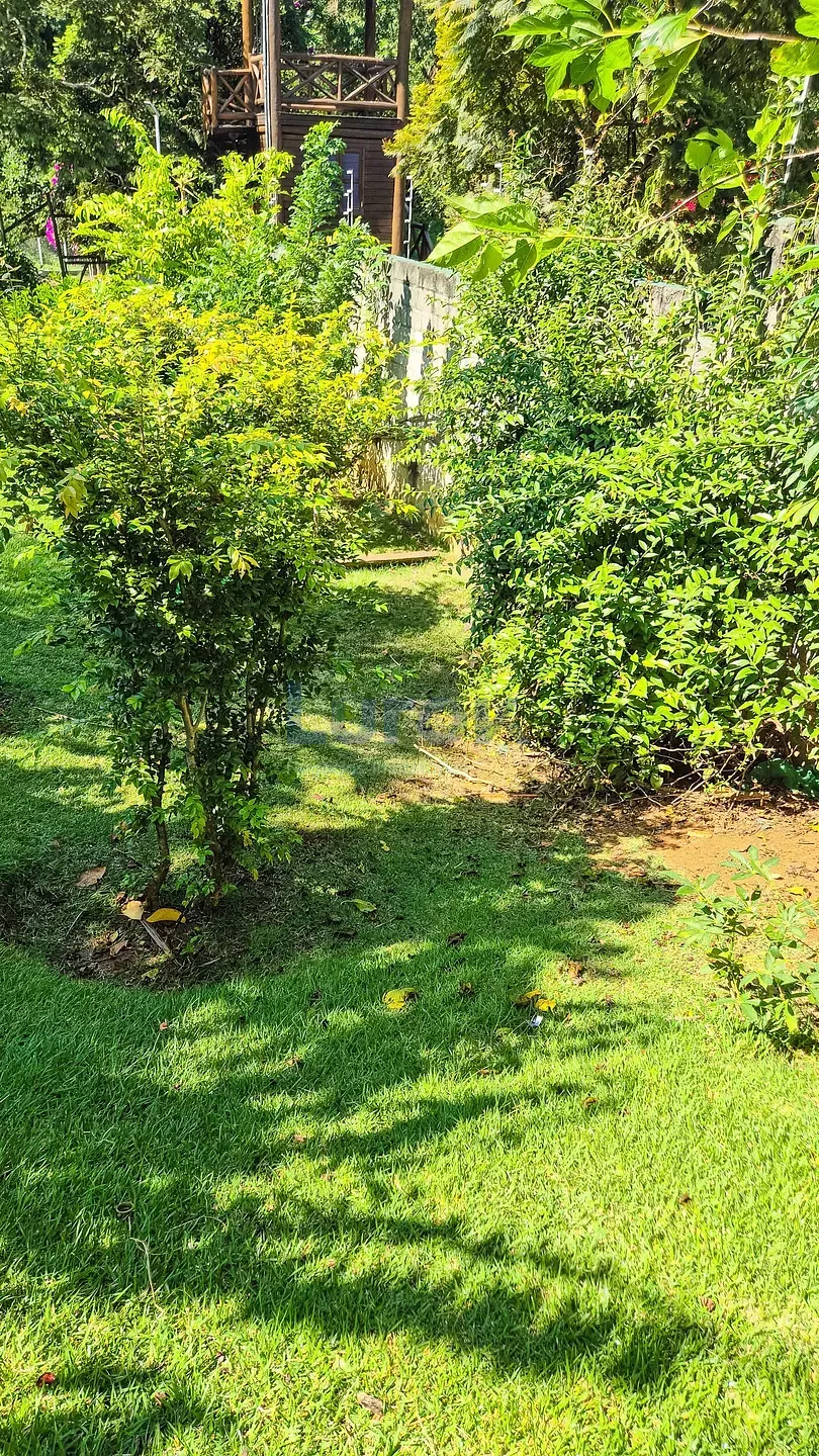Chácara, 4 quartos, 1150 m² - Foto 29