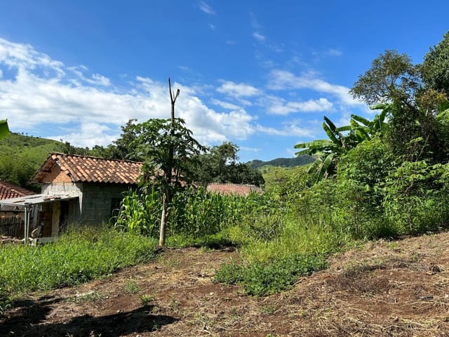 Chácara com 1000m², à venda, no bairro Braço das Antas  em Cambuí