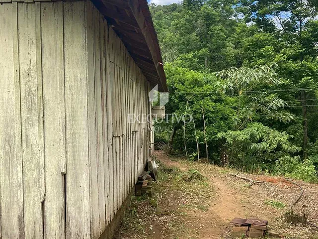 Chácara 3 quartos e 1 banheiro, à venda, no bairro Arroio Grande em Arroio do Meio