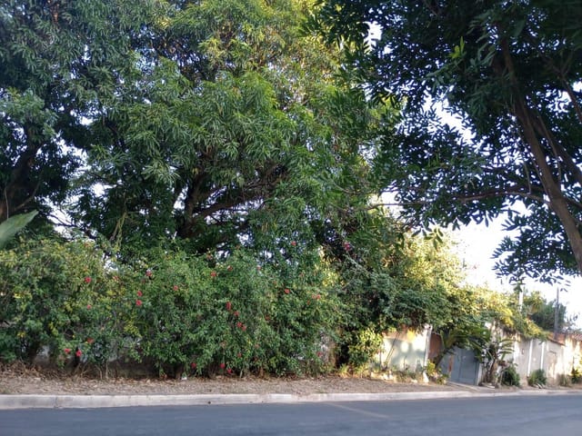 Chácara com 1000m² 2 quartos e 1 banheiro, à venda, no bairro Chácaras Cruzeiro do Sul em Campinas