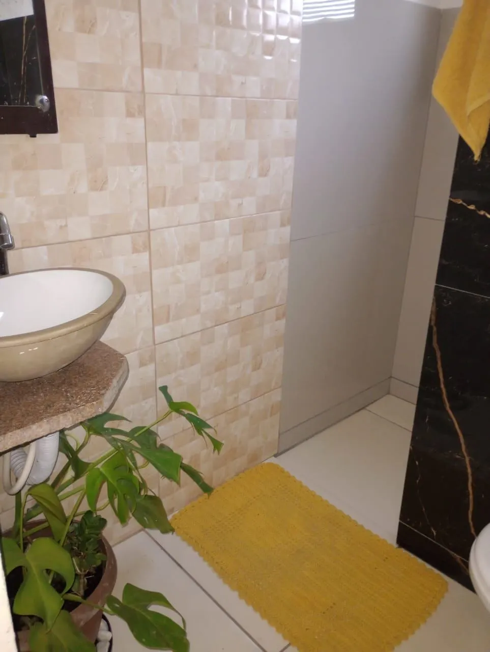 Sítio, 2 quartos, 1000 m² - Foto 6