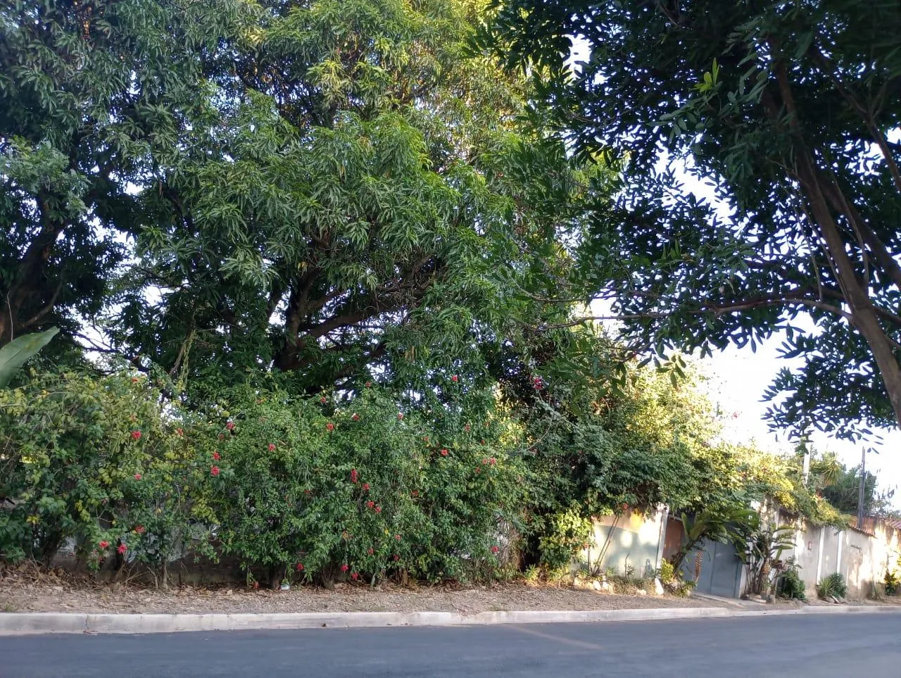 Sítio, 2 quartos, 1000 m² - Foto 3