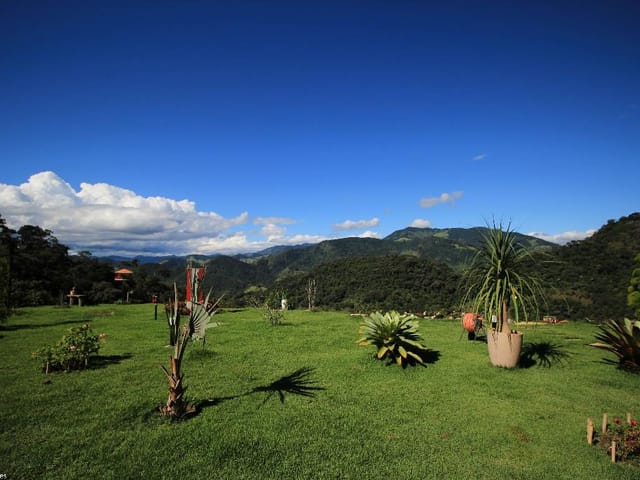 Foto do Chácara - Chácara à venda 3 Quartos, 1 Suite, 2100M², Mato Dentro, Itajubá - MG | MOHALLEM e LOPES CORRETAGEM E ADMINISTRACAO DE IMOVEIS LTDA
