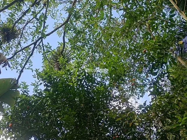 Chácara 2 quartos e 1 banheiro, à venda, no bairro Bernabés em Juquitiba
