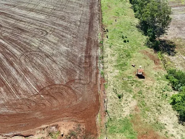 Chácara com 26000m² 2 quartos e 1 banheiro, à venda, no bairro Patrimonio Regina em Londrina