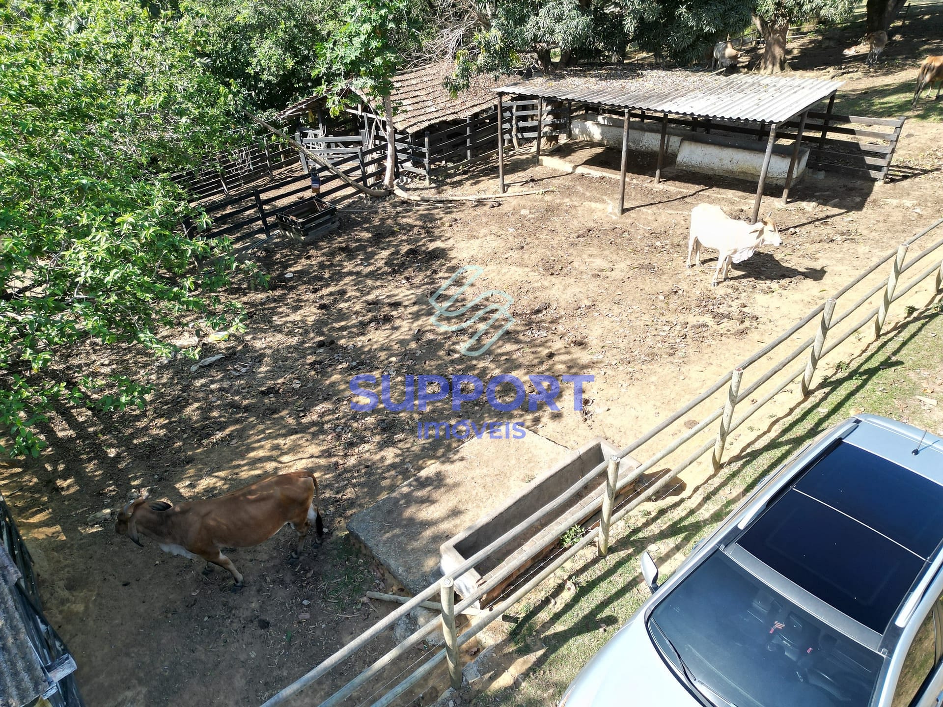 Terreno, 15 hectares - Foto 7