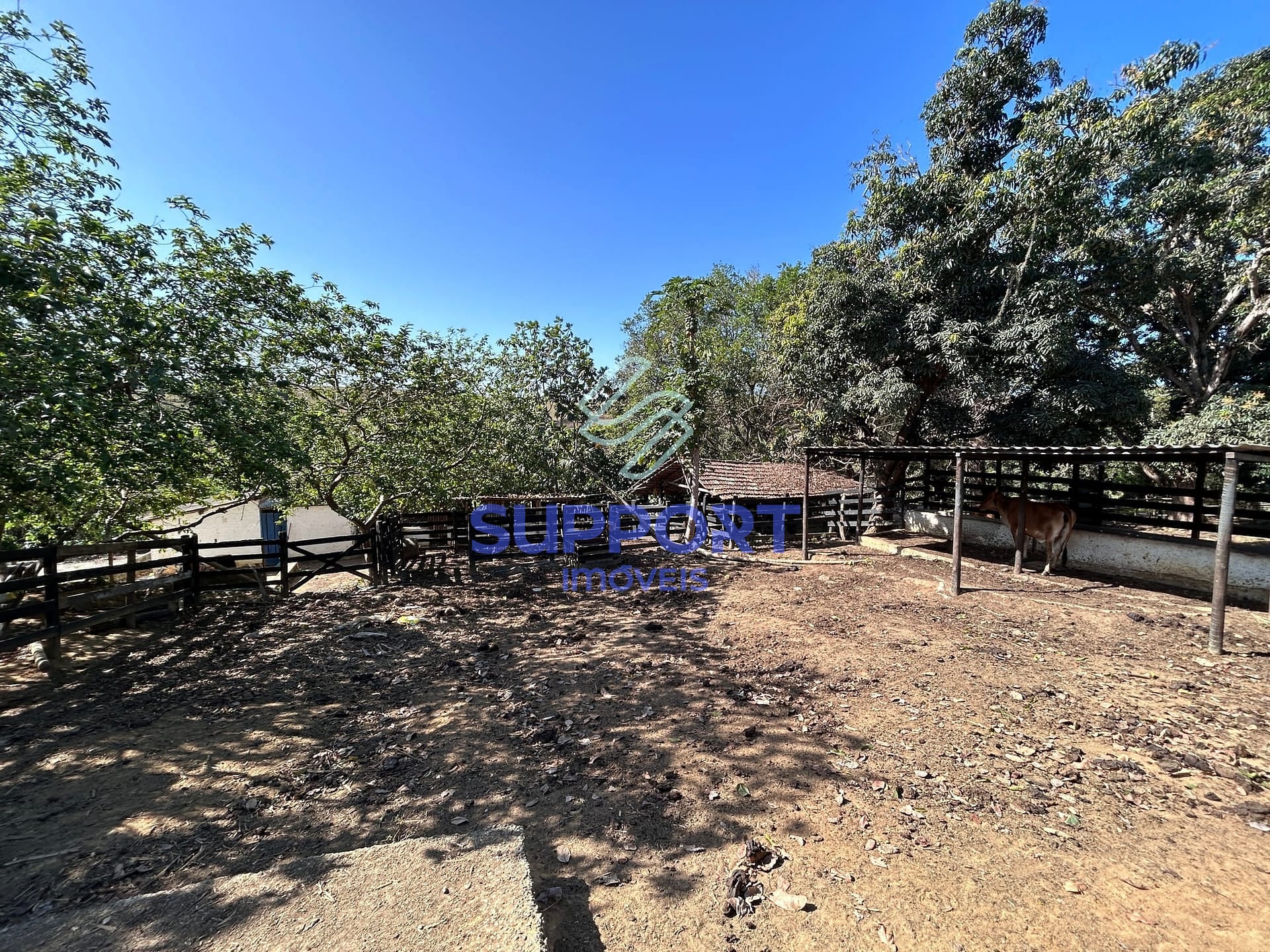 Terreno, 15 hectares - Foto 9