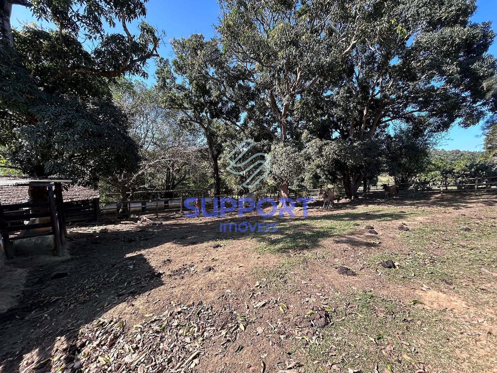 Terreno, 15 hectares - Foto 10