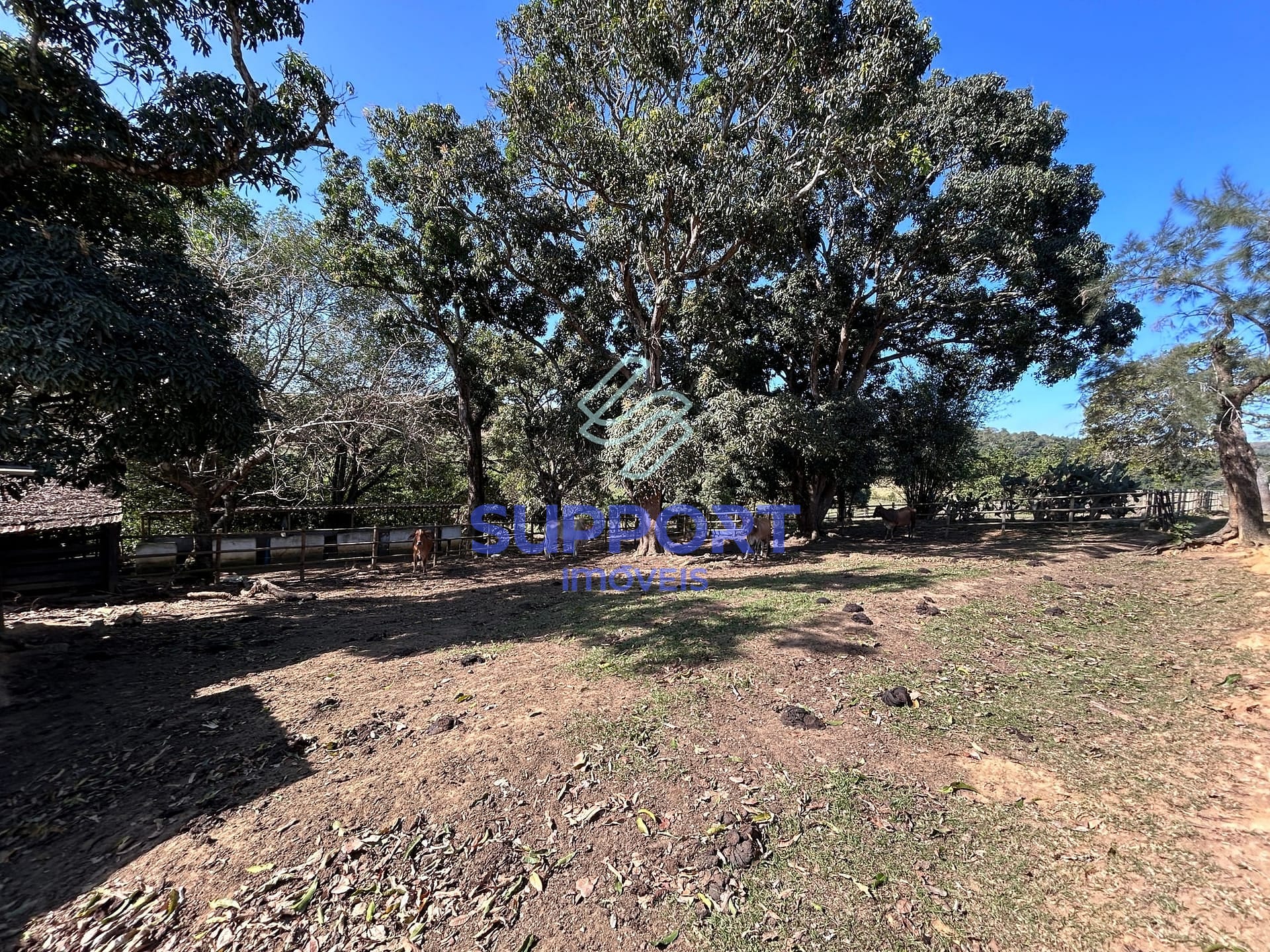 Terreno, 15 hectares - Foto 11