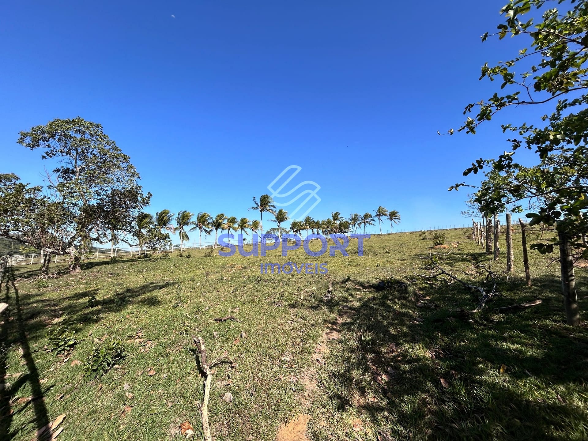 Terreno, 15 hectares - Foto 6