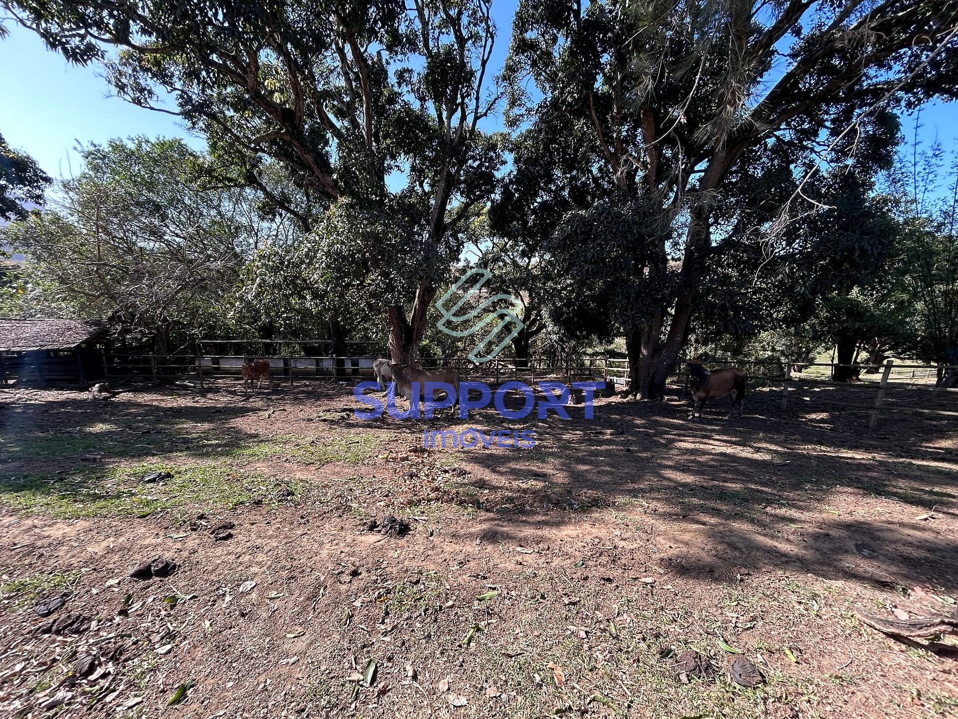 Terreno, 15 hectares - Foto 12