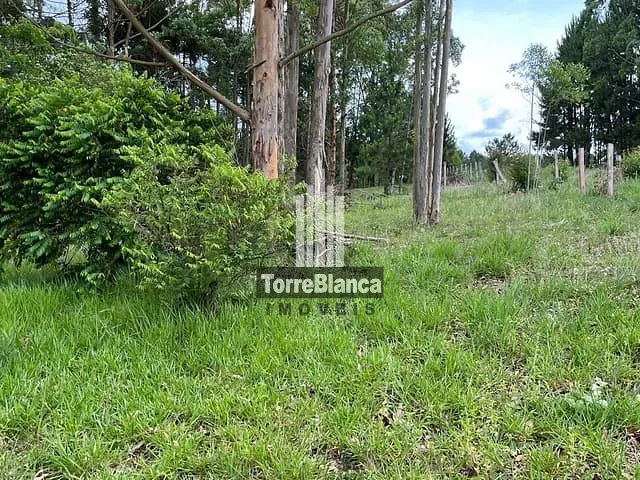 Chácara com 1000m² 2 quartos e 1 banheiro, à venda, no bairro Vila Ernestina em Ponta Grossa