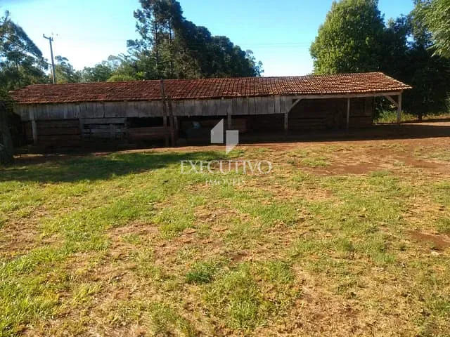 Chácara 3 quartos e 1 banheiro, à venda, no bairro Interior em Crissiumal