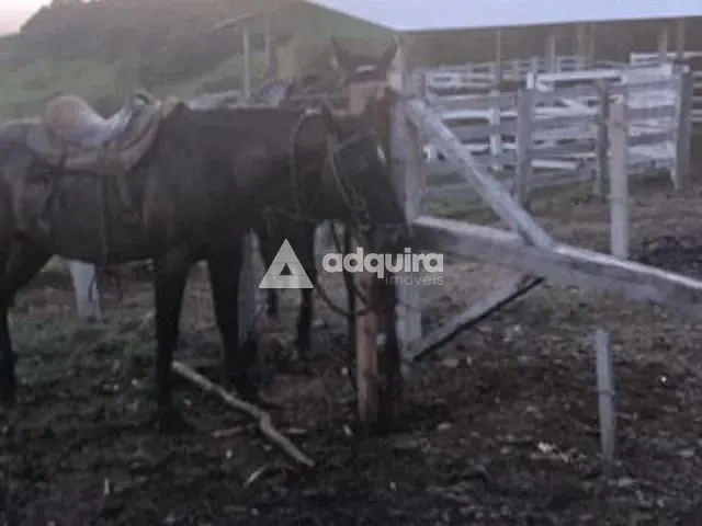 Chácara com 840000m² 1 quarto e 1 banheiro, à venda, no bairro Zona Rural em Cândido de Abreu