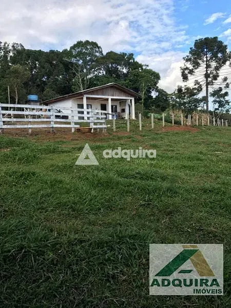 Fazenda, 84 hectares - Foto 6