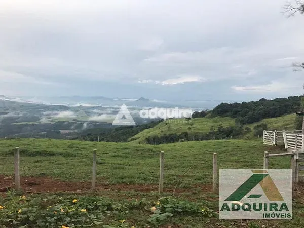 Fazenda, 84 hectares - Foto 4
