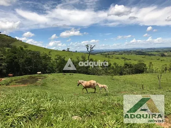 Fazenda, 84 hectares - Foto 12