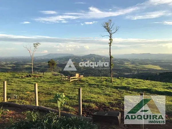 Fazenda, 84 hectares - Foto 1