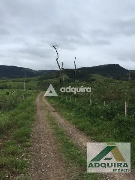 Fazenda, 84 hectares - Foto 16