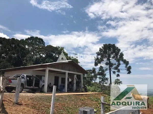 Fazenda, 84 hectares - Foto 10