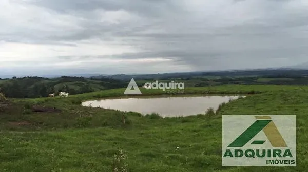 Fazenda, 84 hectares - Foto 15
