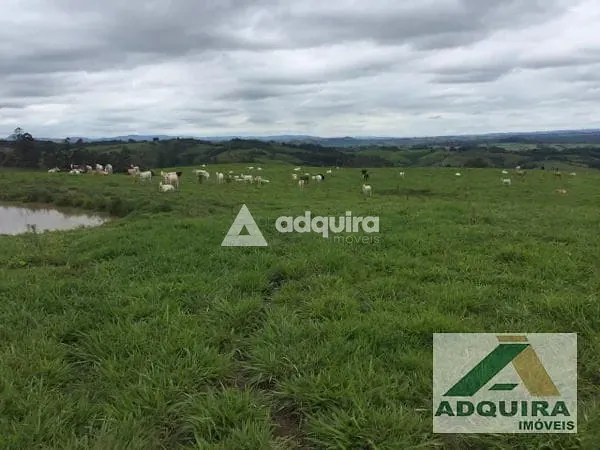 Fazenda, 84 hectares - Foto 13