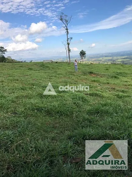Fazenda, 84 hectares - Foto 5