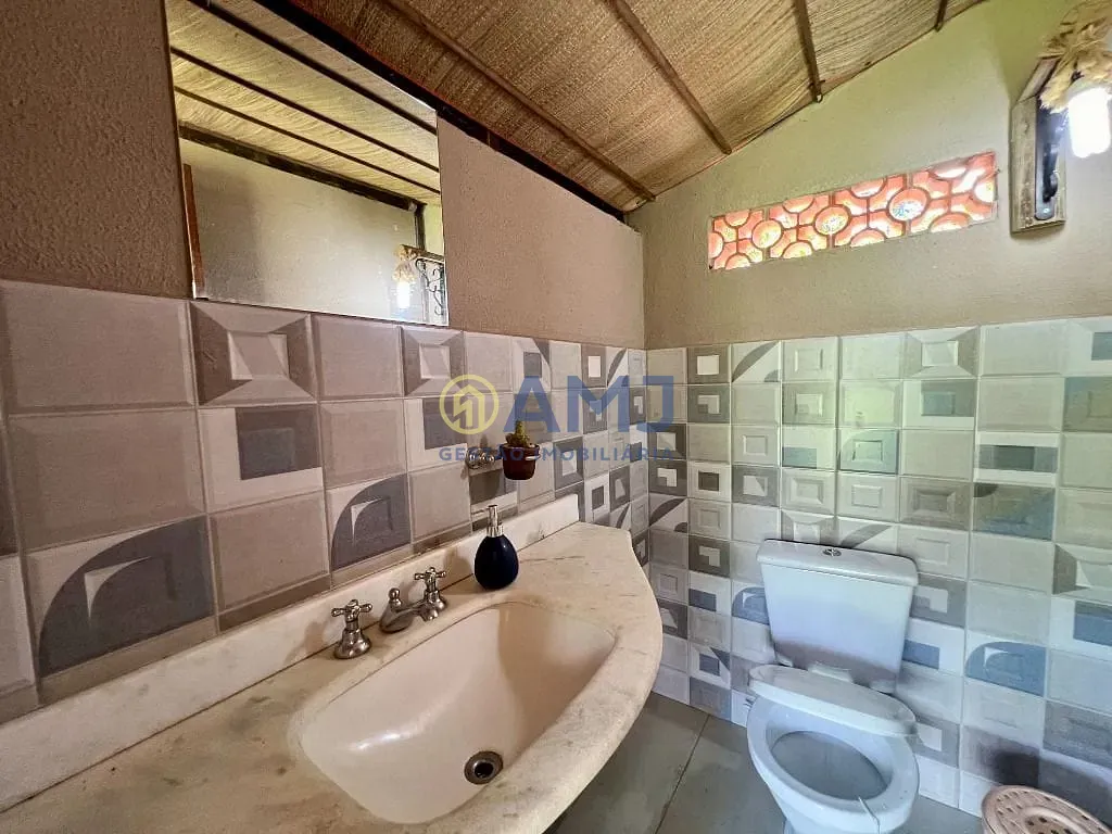 Sítio, 4 quartos, 5000 m² - Foto 61