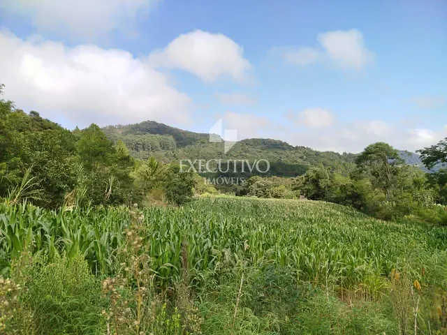 Chácara com 25000m², à venda, no bairro Palmas em Arroio do Meio