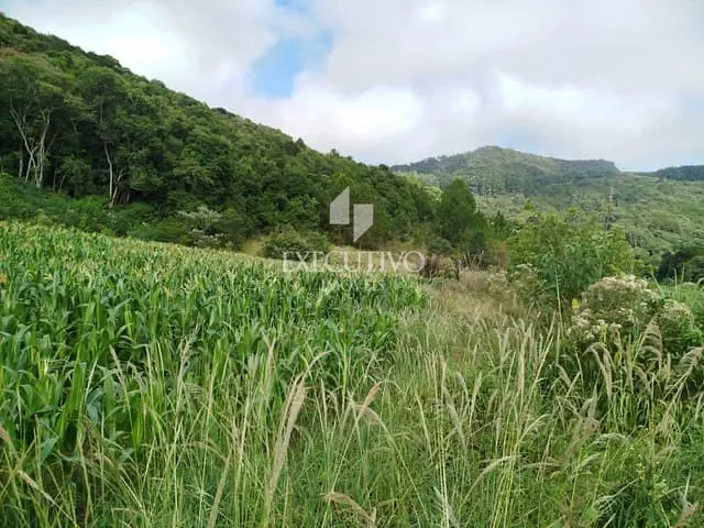 Chácara com 25000m², à venda, no bairro Palmas em Arroio do Meio