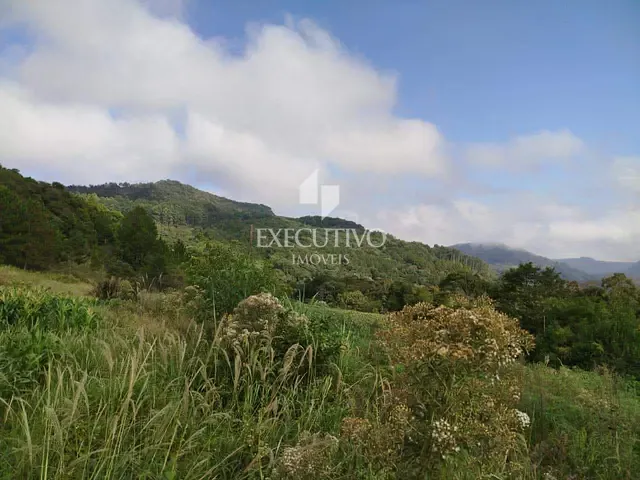 Chácara com 25000m², à venda, no bairro Palmas em Arroio do Meio