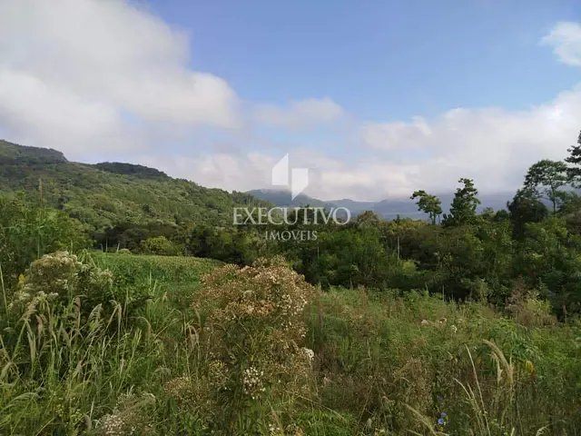 Chácara com 25000m², à venda, no bairro Palmas em Arroio do Meio