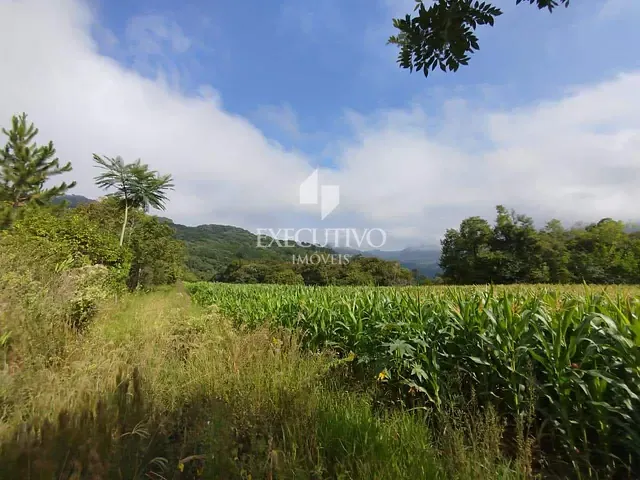 Chácara com 25000m², à venda, no bairro Palmas em Arroio do Meio