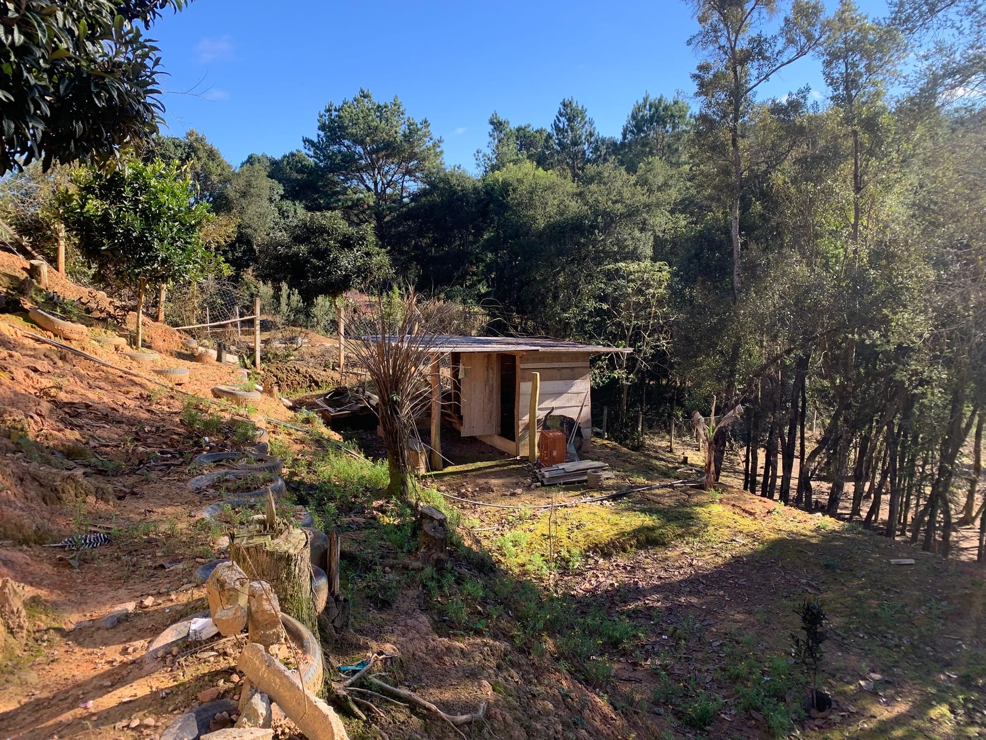 Chácara à venda com 3 quartos, 3000m² - Foto 3