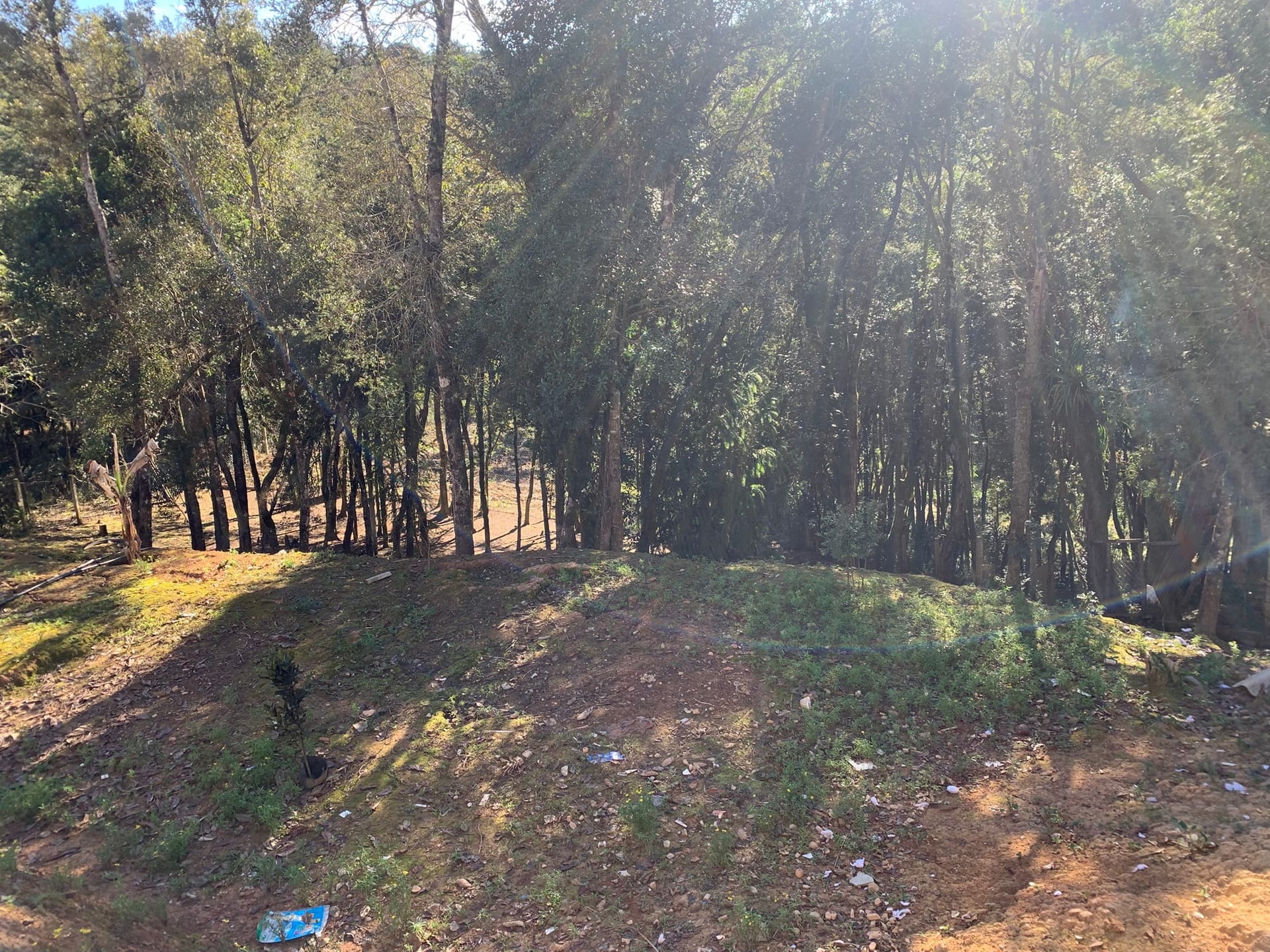 Chácara à venda com 3 quartos, 3000m² - Foto 4