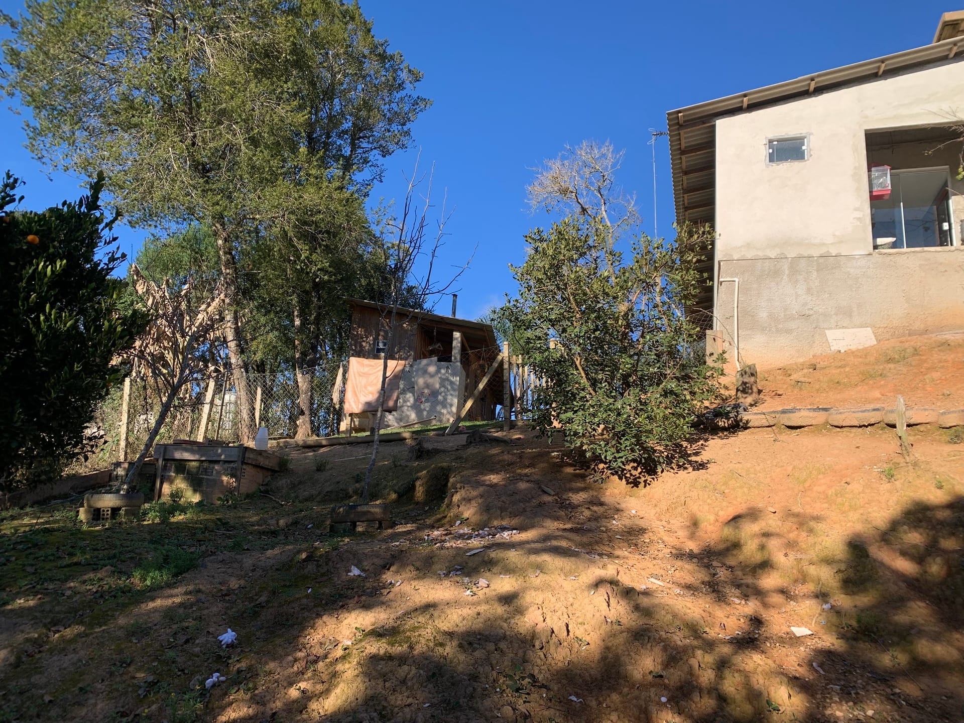 Chácara à venda com 3 quartos, 3000m² - Foto 8