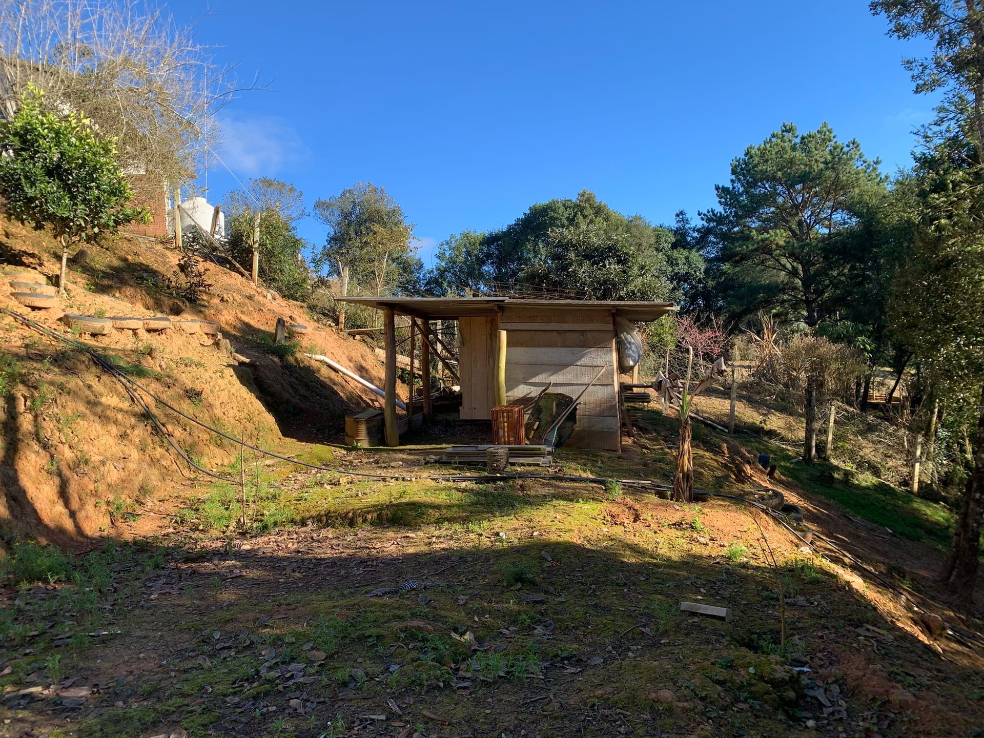 Chácara à venda com 3 quartos, 3000m² - Foto 9