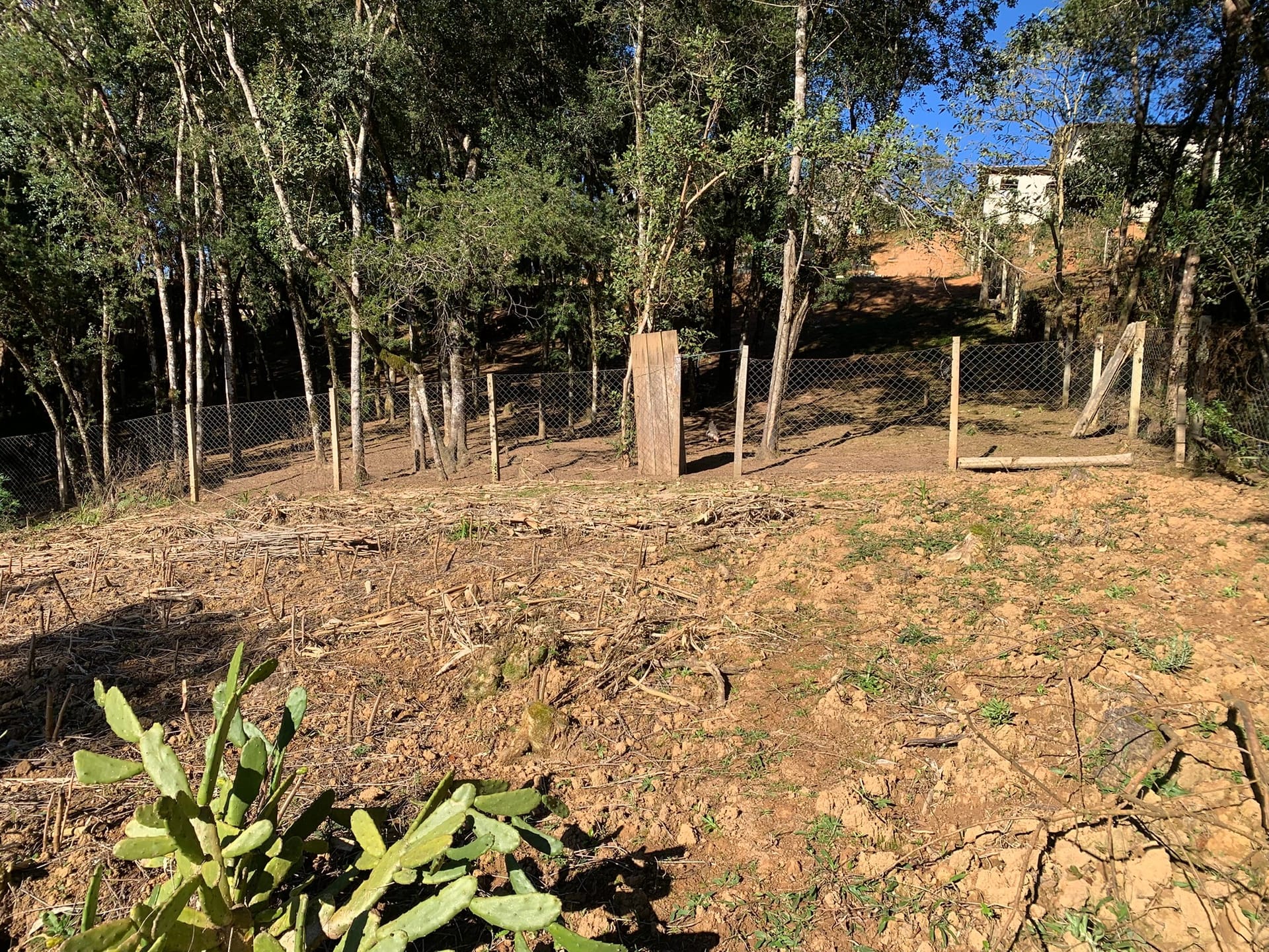 Chácara à venda com 3 quartos, 3000m² - Foto 11