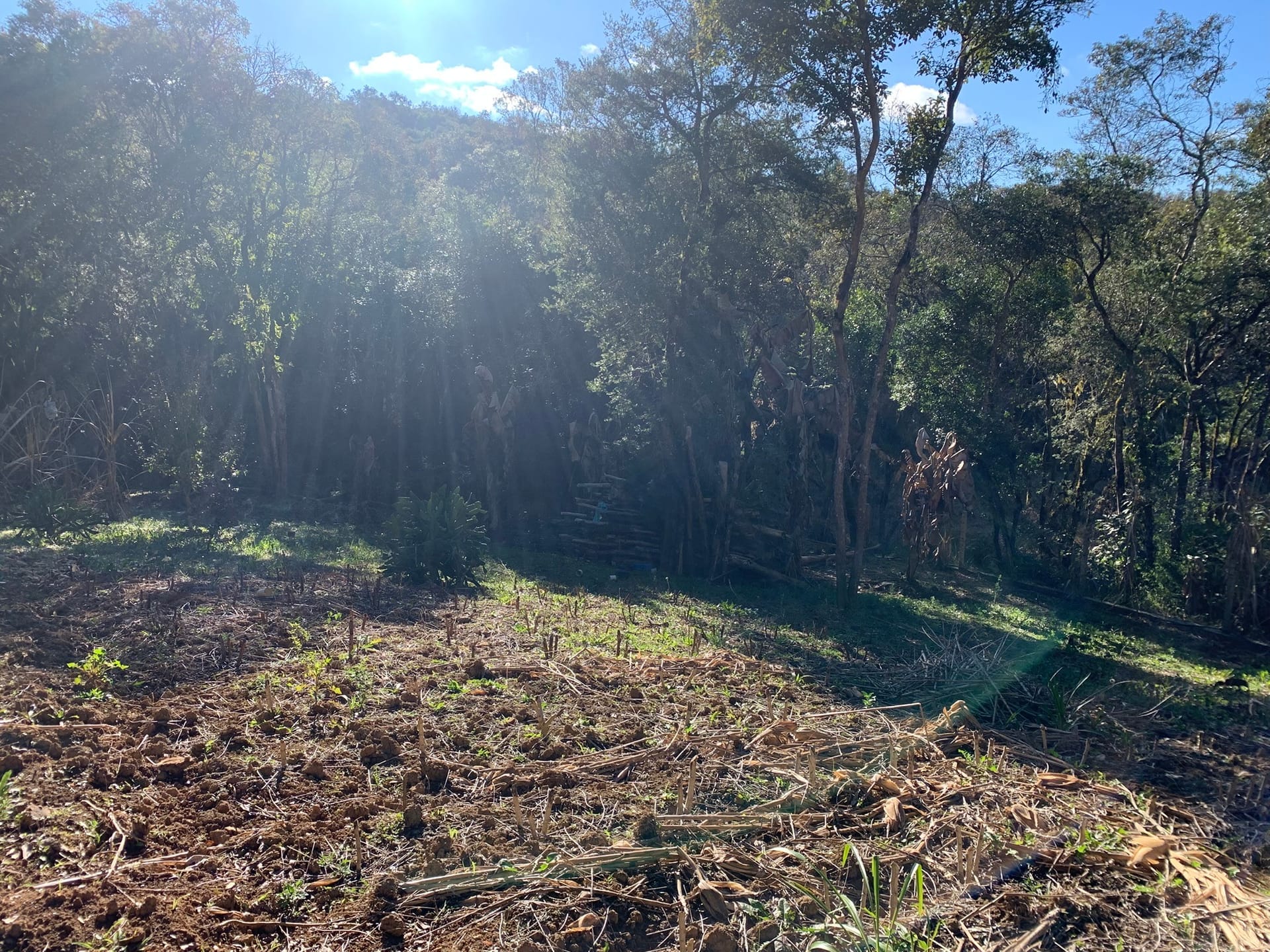 Chácara à venda com 3 quartos, 3000m² - Foto 12