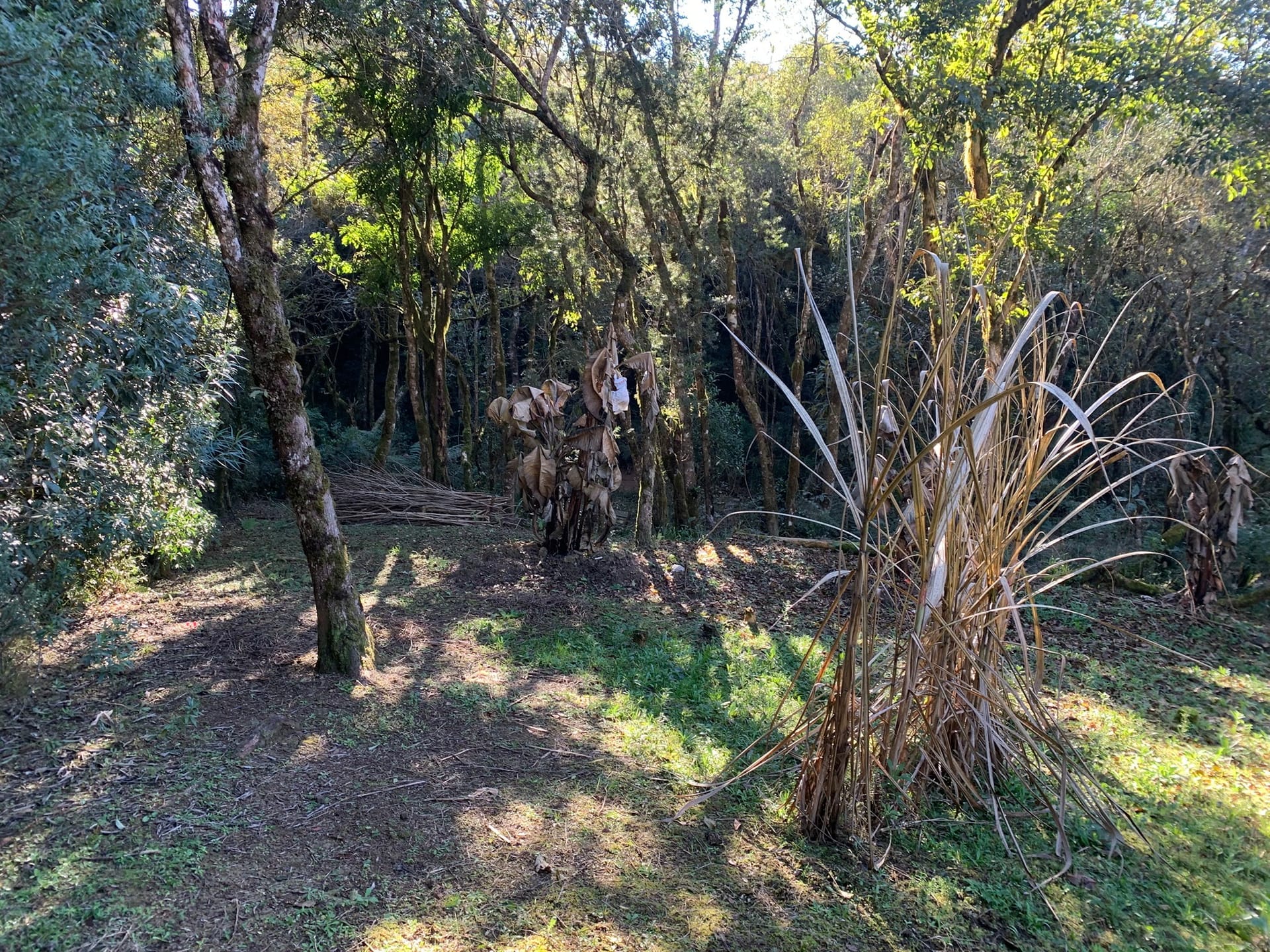 Chácara à venda com 3 quartos, 3000m² - Foto 13