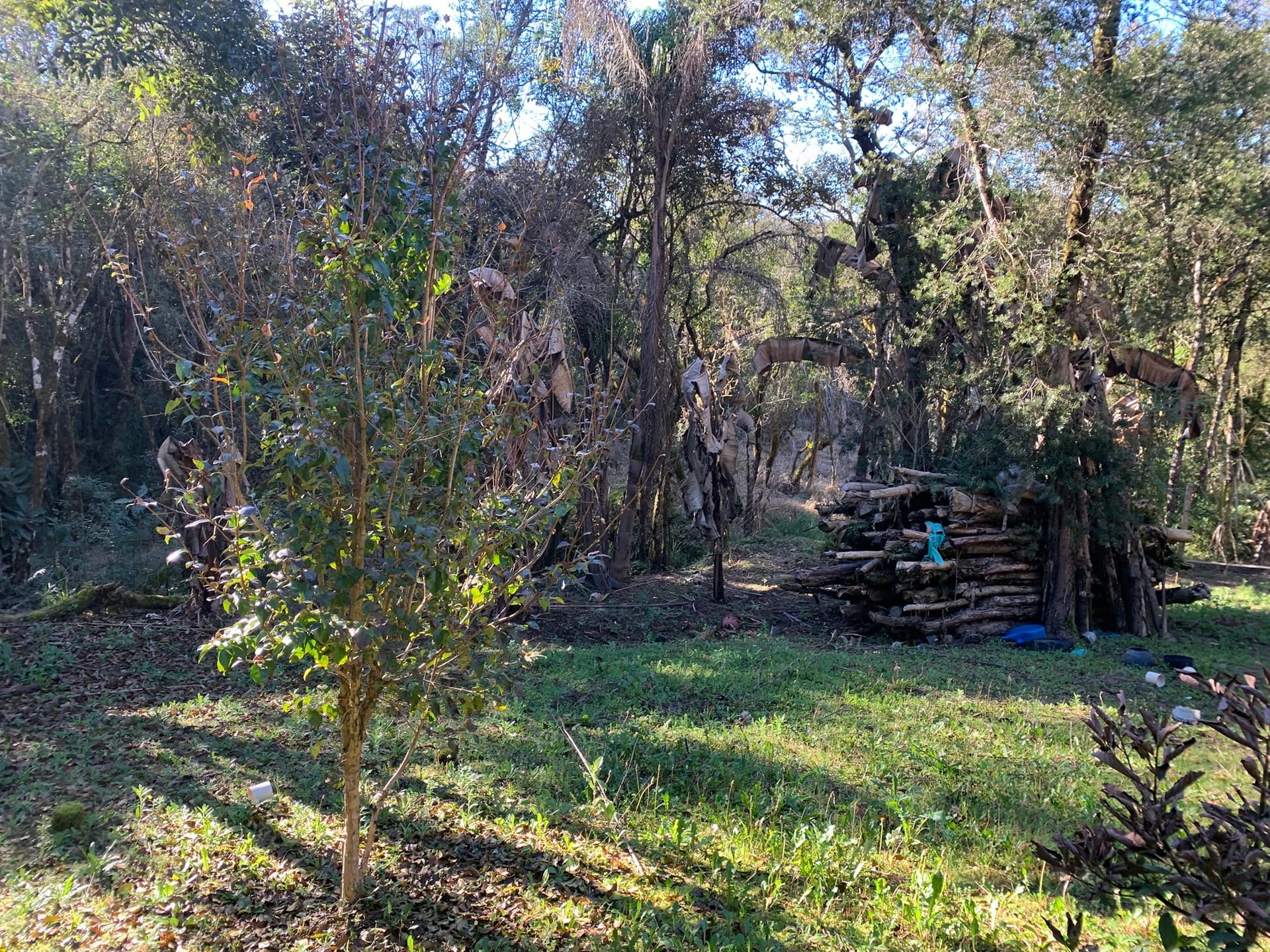 Chácara à venda com 3 quartos, 3000m² - Foto 14