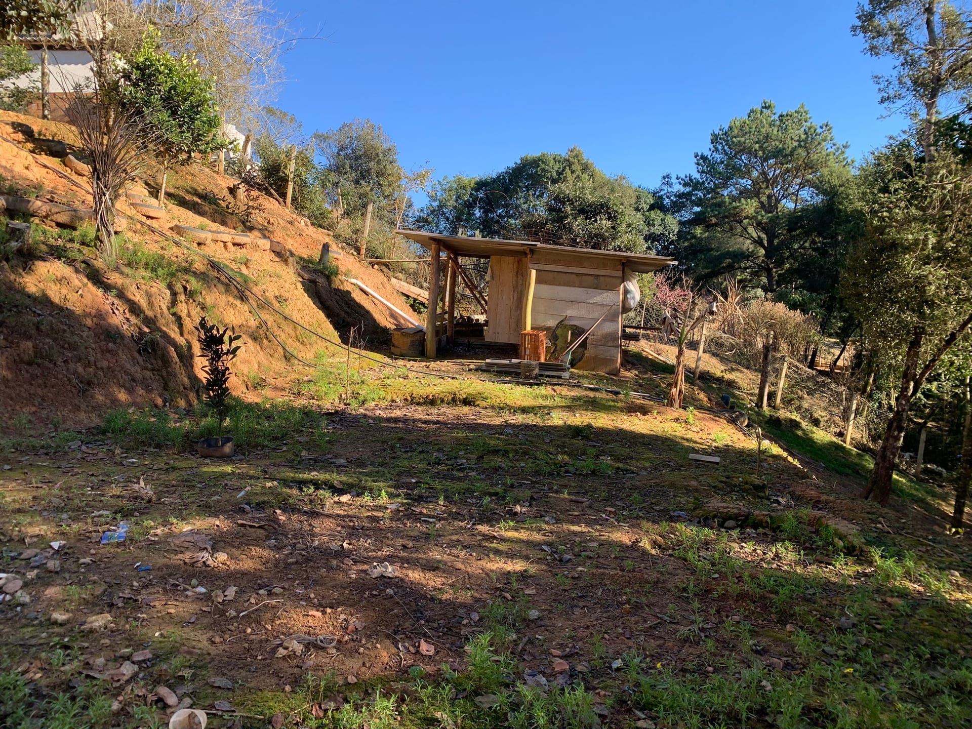 Chácara à venda com 3 quartos, 3000m² - Foto 18